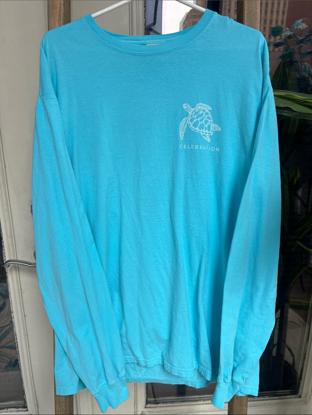 Hanes Turquoise Crewneck long sleeve T-Shirt with White Turtle Graphic